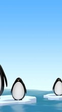 Scaricare immagine 1280x800 Animals, Pinguins, Drawings sul telefono gratis.