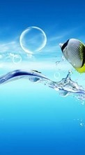 Scaricare immagine Animals, Water, Art, Bubbles, Fishes sul telefono gratis.