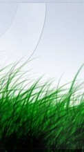 Scaricare immagine 1080x1920 Plants, Grass, Art sul telefono gratis.