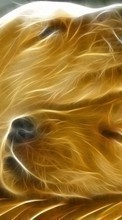 Scaricare immagine 540x960 Dogs, Art, Drawings sul telefono gratis.