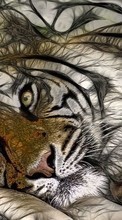 Scaricare immagine Animals, Art, Tigers, Drawings sul telefono gratis.