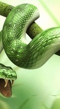 Scaricare immagine Animals, Art, Snakes sul telefono gratis.