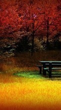 Scaricare immagine 1080x1920 Landscape, Trees, Autumn, Art photo sul telefono gratis.