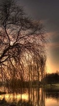 Scaricare immagine 1080x1920 Landscape, Rivers, Trees, Sunset, Art photo sul telefono gratis.