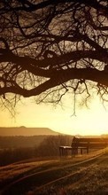 Art photo, Trees, Landscape, Sunset per Apple iPhone 4