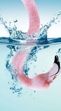 Animals, Birds, Water, Art photo, Flamingo per HTC One mini 2