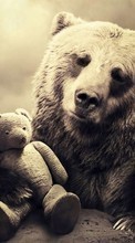 Scaricare immagine Art photo, Toys, Bears, Animals sul telefono gratis.