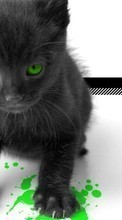 Scaricare immagine 800x480 Animals, Cats, Art photo sul telefono gratis.