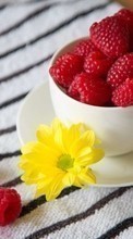 Scaricare immagine Cups, Food, Fruits, Berries, Raspberry, Objects sul telefono gratis.