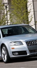 Scaricare immagine 1080x1920 Transport, Auto, Audi sul telefono gratis.