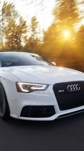 Scaricare immagine Audi, Auto, Transport sul telefono gratis.