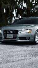 Audi, Auto, Transport