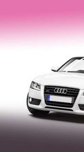 Scaricare immagine 240x320 Transport, Auto, Audi sul telefono gratis.