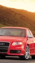 Scaricare immagine 480x800 Transport, Auto, Audi sul telefono gratis.