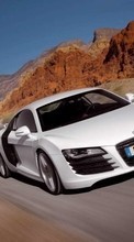 Scaricare immagine 800x480 Transport, Auto, Audi sul telefono gratis.