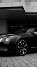Scaricare immagine 480x800 Transport, Auto, Bentley sul telefono gratis.