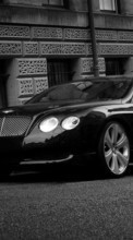 Scaricare immagine 720x1280 Transport, Auto, Bentley sul telefono gratis.