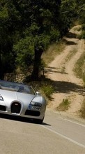 Scaricare immagine 320x480 Transport, Auto, Roads, Bugatti sul telefono gratis.