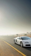Scaricare immagine 1280x800 Transport, Auto, Roads, Bugatti sul telefono gratis.