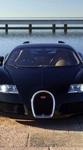 Scaricare immagine 480x800 Transport, Auto, Bugatti sul telefono gratis.