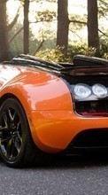 Auto, Bugatti, Transport