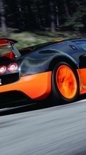 Scaricare immagine Auto, Bugatti, Transport sul telefono gratis.