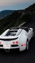 Scaricare immagine Transport, Auto, Bugatti sul telefono gratis.