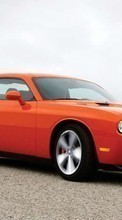 Scaricare immagine Transport, Auto, Dodge Challenger sul telefono gratis.