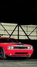 Scaricare immagine Auto,Dodge Challenger,Transport sul telefono gratis.