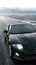 Scaricare immagine Transport, Auto, Roads, Jaguar sul telefono gratis.