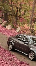 Scaricare immagine Auto, Roads, Leaves, Autumn, Subaru, Transport sul telefono gratis.