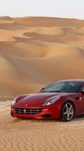 Scaricare immagine Auto,Ferrari,Transport sul telefono gratis.