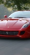 Scaricare immagine 240x400 Transport, Auto, Ferrari sul telefono gratis.