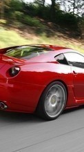 Scaricare immagine 480x800 Transport, Auto, Ferrari sul telefono gratis.