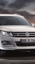 Scaricare immagine Auto,Volkswagen,Transport sul telefono gratis.
