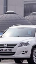 Scaricare immagine Transport, Auto, Volkswagen sul telefono gratis.