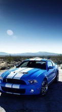 Scaricare immagine Auto, Ford, Mustang, Transport sul telefono gratis.