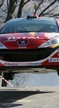 Scaricare immagine Auto,Races,Peugeot,Sports,Transport sul telefono gratis.