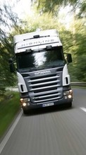 Scaricare immagine 800x480 Transport, Auto, Trucks sul telefono gratis.