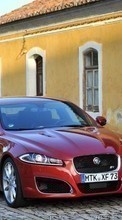 Scaricare immagine Auto,Jaguar,Transport sul telefono gratis.