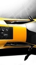 Scaricare immagine 240x320 Transport, Auto, Lamborghini sul telefono gratis.