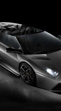 Scaricare immagine 240x400 Transport, Auto, Lamborghini sul telefono gratis.
