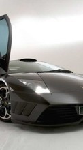 Scaricare immagine 800x480 Transport, Auto, Lamborghini sul telefono gratis.
