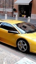 Scaricare immagine 1080x1920 Transport, Auto, Lamborghini sul telefono gratis.