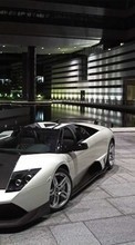 Transport, Auto, Lamborghini per HTC Desire HD