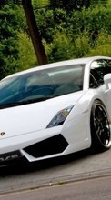 Scaricare immagine Transport, Auto, Lamborghini sul telefono gratis.