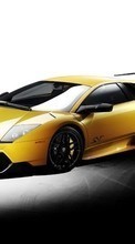 Transport, Auto, Lamborghini per Fly Nimbus 4 FS551
