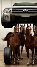 Scaricare immagine Auto,Horses,Transport,Animals sul telefono gratis.