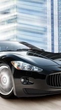 Transport, Auto, Maserati per Samsung Galaxy Y Pro Duos