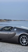Scaricare immagine 320x480 Transport, Auto, Sky, Sea, Bugatti sul telefono gratis.